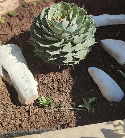 לינה וארוחת בוקר Saracino *