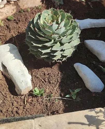 Bed & Breakfast Saracino 3*