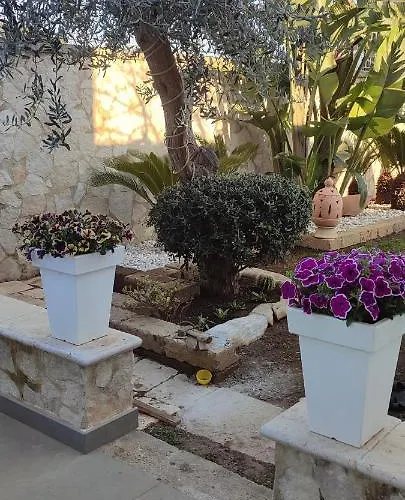 Saracino 3* בארי