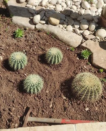 לינה וארוחת בוקר Saracino 3*